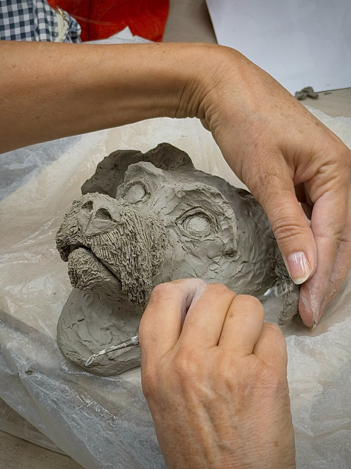 Stages de Sculpture & Modelage